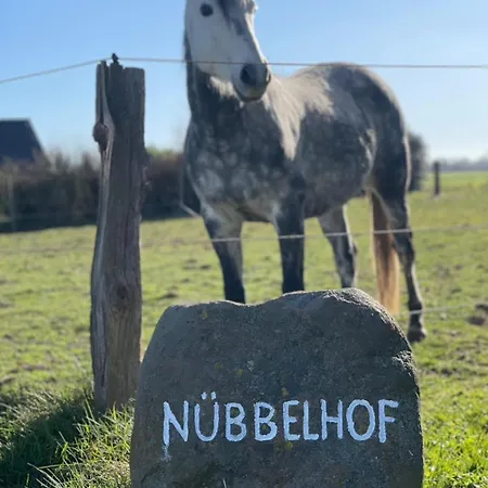 Ferienbauernhof Nuebbelhof Melkhuus